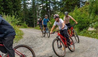 Gruppe von Radfahrern fährt auf einem Waldweg mit Bäumen im Hintergrund