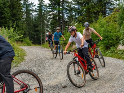 Gruppe von Radfahrern fährt auf einem Waldweg mit Bäumen im Hintergrund