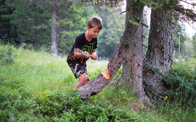 Junge fällt einen Baum im Wald