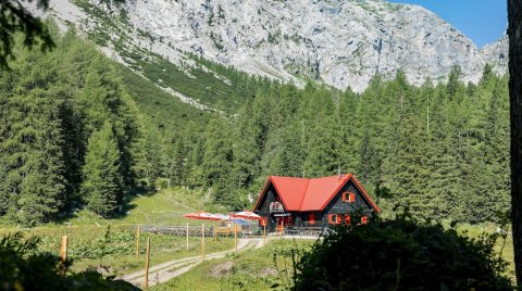 Rote Berghütte in Waldlichtung mit Gebirgspanorama im Hintergrund