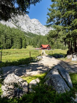 Hiking trail to red alpine hut through shady forest
