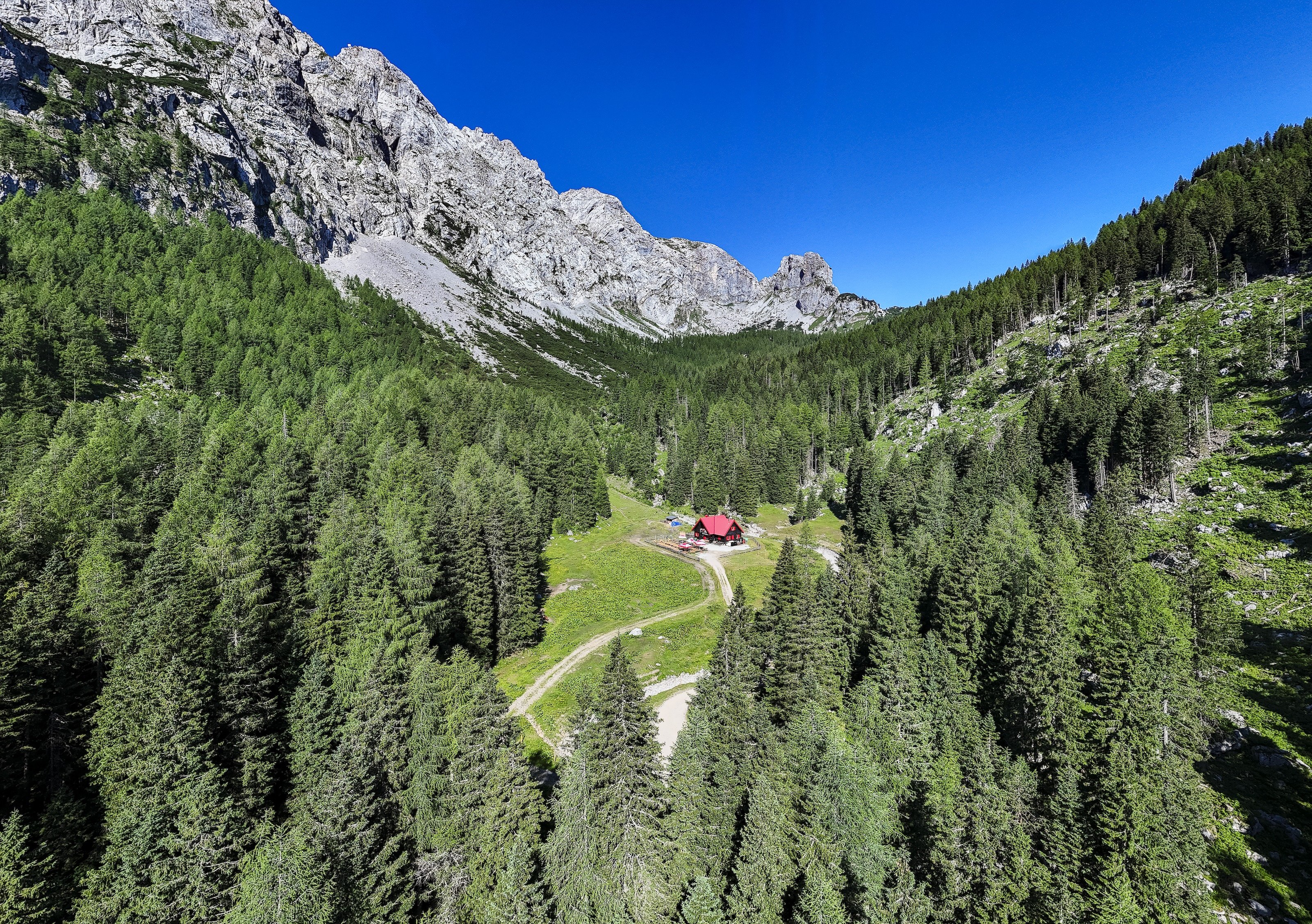 Mountain hut with red roof surrounded by dense forest