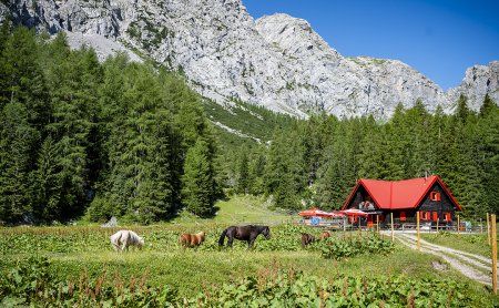 Ponies near alpine hut with red roof and rocky mountain backdrop