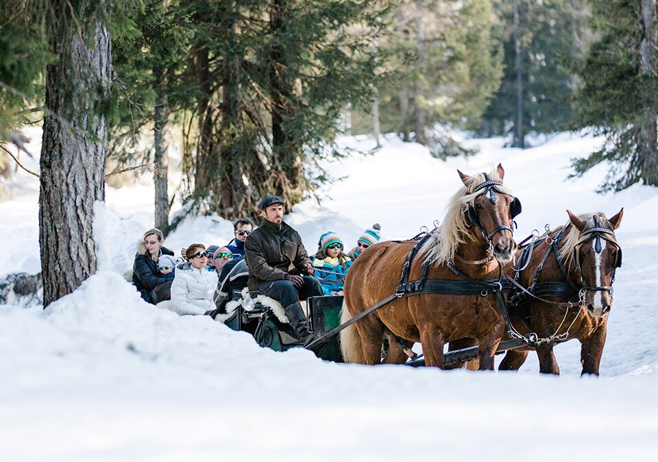 Fahrt mit dem Pferdeschlitten durch die Winterlandschaft