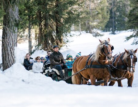 Fahrt mit dem Pferdeschlitten durch die Winterlandschaft