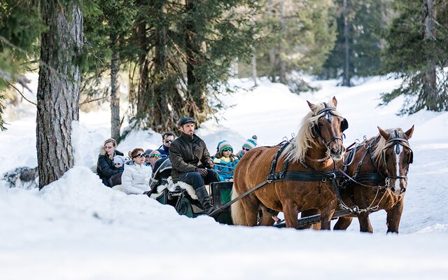 Fahrt mit dem Pferdeschlitten in der Winterlandschaft